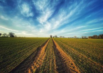 agricoltura