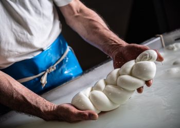 Le bufale non sono Fake, anzi trattasi di animali credibili, e buoni. Lo dimostra il Consorzio di tutela mozzarella di bufala campana Dop