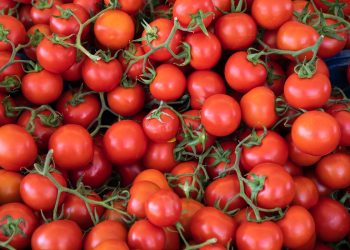 pomodori