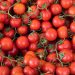 pomodori