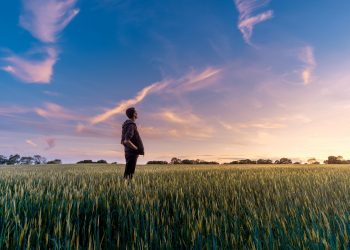 Giornata della terra? La spariamo grossa? Così attiriamo l’attenzione? Il cibo secondo un report del WWF