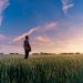 Giornata della terra? La spariamo grossa? Così attiriamo l’attenzione? Il cibo secondo un report del WWF