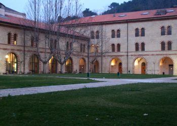 Cosa fanno nei laboratori universitari? Un esempio, l’università di Ancona (seconda parte)
