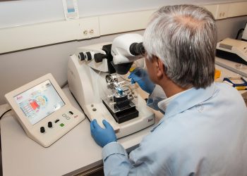 Riusciranno i nostri genetisti