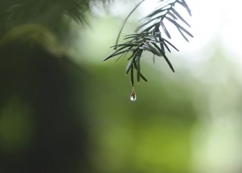 Irrigate con misura