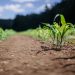 Agricoltura