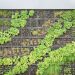 Bello guardare la successione orizzontale dei campi agricoli? Ma l’agricoltura verticale?