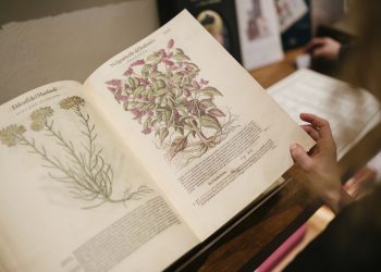 Aboca: la salute attraverso la natura, applicando la Evidence Based Medicine alle sostanze naturali e un modello di industria 4.0.