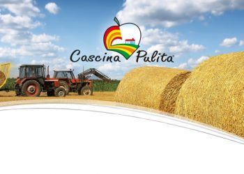 Una vera innovazione? Gestire i rifiuti. Virginia Vergero, Responsabile Innovazione di Processi di Cascina Pulita, ci spiega come.