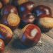 Ricordi il cibo dell’infanzia? Daniele Pasquini (giornalista e ufficio stampa )