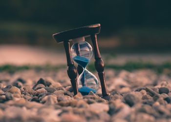 Altro modo per non sprecare il tempo? Capire come funziona il miglioramento genetico