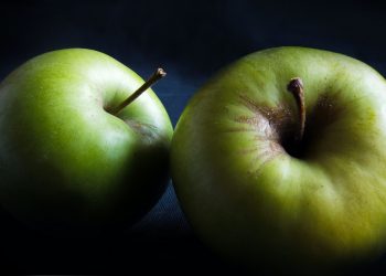 A proposito di madeleine, la conoscete la melolontha?