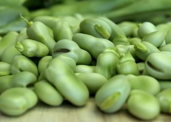 Ricordi il cibo dell’infanzia? Luca Simonetti, avvocato