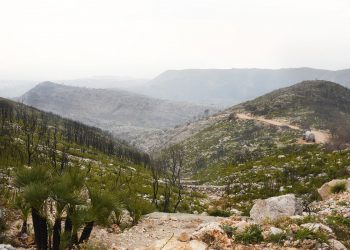 A proposito di tutela del territorio, che fare con gli incendi boschivi?
