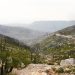 A proposito di tutela del territorio, che fare con gli incendi boschivi?