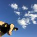 Cosa mangiano alcuni animali, a proposito di cereali e di ambiente?