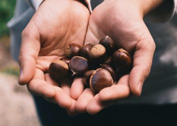 Ricordi il cibo dell’infanzia? Marco Carnevale (boomer professionista)