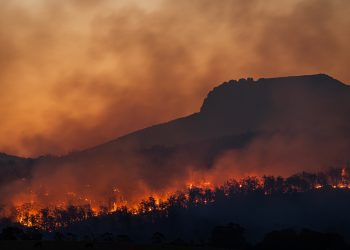 La dolorosa questione degli incendi, come risolverla