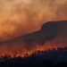 La dolorosa questione degli incendi, come risolverla