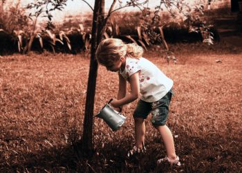 Attenzione ai colpi di scure: ovvero, trattiamo bene gli alberi