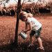 Attenzione ai colpi di scure: ovvero, trattiamo bene gli alberi