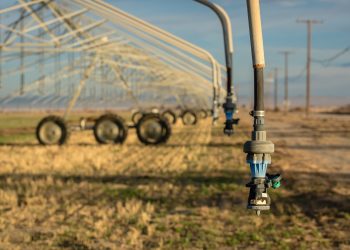 Cosa stanno facendo gli agricoltori contro la siccità.