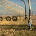 Cosa stanno facendo gli agricoltori contro la siccità.