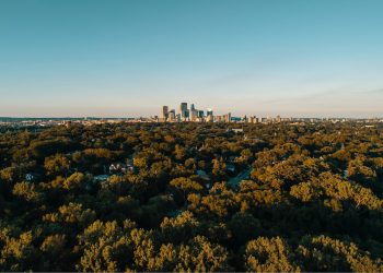 Quanti alberi nelle città?