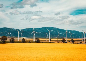 La (lentezza della) transizione energetica.