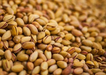Ma a proposito di piante marginali, sicuro che il pistacchio lo è? Una bella ricostruzione del post.it