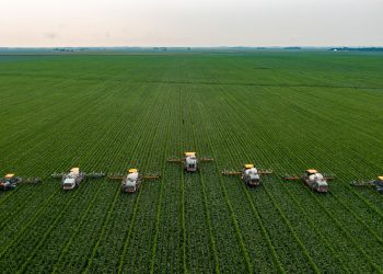 L’energia utile per l’agricoltura (intensiva).