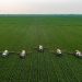 L’energia utile per l’agricoltura (intensiva).