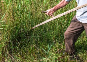 A proposito della vecchia energia agricola: ma i nostri nonni che pativano la fame che strumenti avevano per difendersi dalla sfortuna? Ce lo racconta Ernesto De Martino, un saggista dimenticato￼