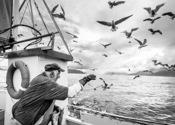Ascoltare i pescatori ci ha resi più veloci.