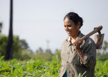 Una bella storia di innovazione, tratta da Agricoltura femminile singolare (per gentile concessione di maria pacini fazzi editore)