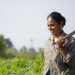Una bella storia di innovazione, tratta da Agricoltura femminile singolare (per gentile concessione di maria pacini fazzi editore)