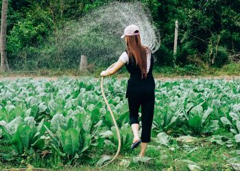 Agricoltura femminile singolare. Tre domande a Deborah Piovan