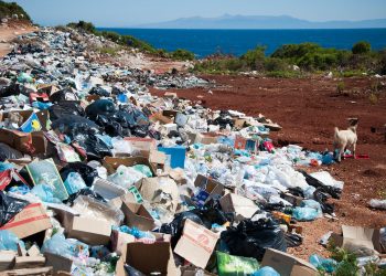 Cos’è il reato ambientale?