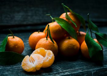 Gli agrumi: l’unico frutto che prende il nome da un mitoGiuseppe Barbera nel suo libro Agrumi, una storia del mondo (il Saggiatore) ci racconta il cammino.