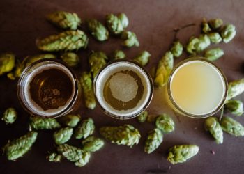 La birra nelle nebbie della preistoria: ovvero, come è nata?