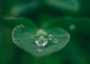 L’acqua. Come siamo messi?
