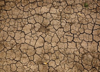 La siccità del Nord? C’entra il cambiamento climatico.