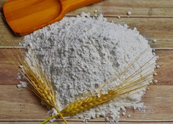 Storia delle nostre paure alimentari, a proposito di grano, Alberto Grandi col suo nuovo libro ci spiega un po’ di cose interessanti sulle farine (Storia delle nostre paure alimentari, Come l’alimentazione ha modellato l’identità culturale, Aboca edizioni)