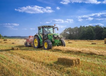 Avviso ai naviganti della sostenibilità: Sapete cosa sono le piante biocide?