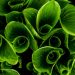 Nel laboratorio ci sono le idee, “in campo” la vita