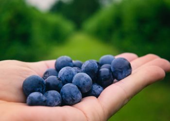 Le nostre rurali paure alimentari