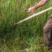 La coltura più antica e moderna del mondo