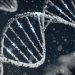 Che diavoleria è il Crispr-Cas 9, alias TEA (spiegato bene)