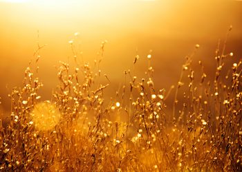 Con questo caldo è difficile discutere di caldo