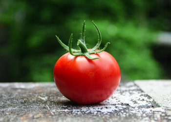 Come funziona il pomodoro raccontato dal pomodoro in persona (come una fiaba)
